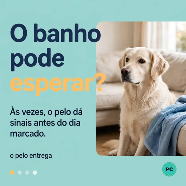 Slide 1: o banho pode esperar? Às vezes o pelo dá sinais antes do dia marcado.