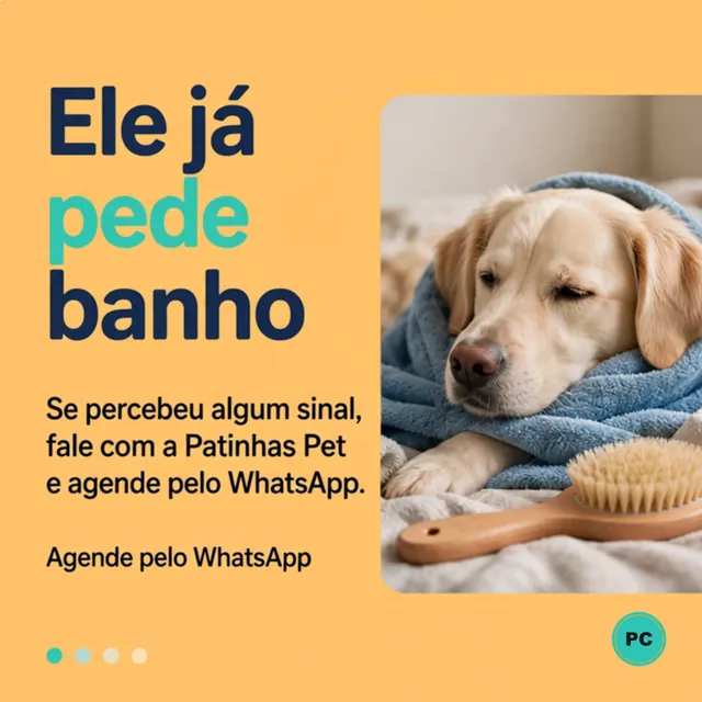 Slide 4: ele já pede banho, e o convite para agendar pelo WhatsApp.
